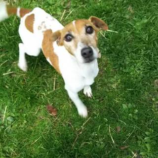 生涯可愛がって下さる方宜しくお願いします！