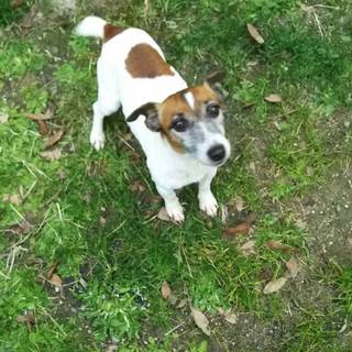 生涯可愛がって下さる方宜しくお願いします！