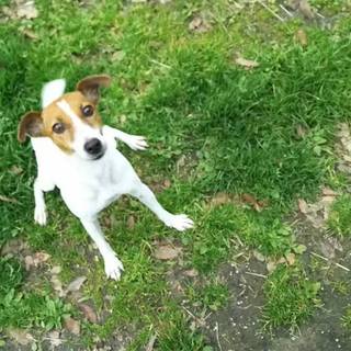 面接を受けますので一度終了させて頂きます！