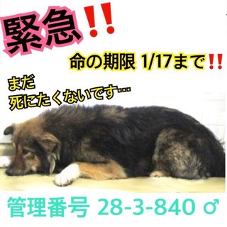 もう時間がありません＞_＜どうか僕を家族に、、