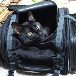 バイクのバッグの中に。