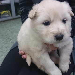 可愛い3兄弟です