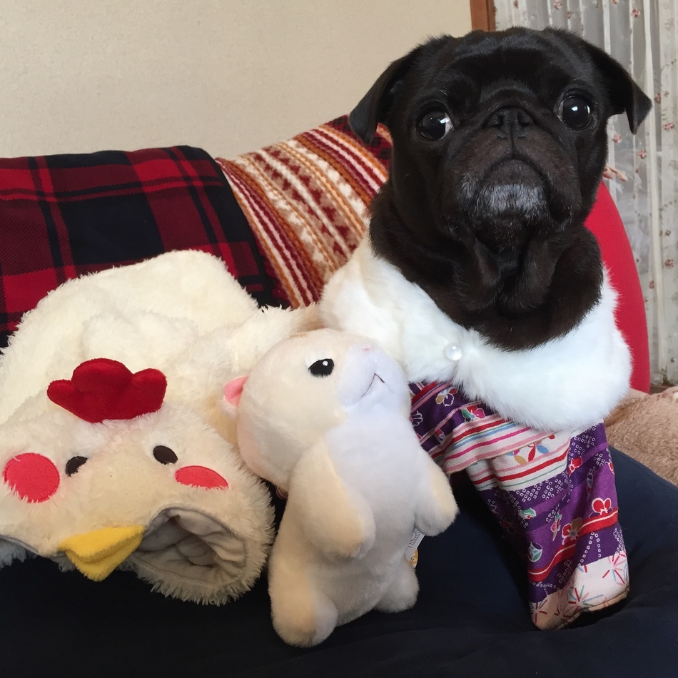 寺西オハナのカバー写真