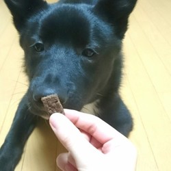 「手作り犬用おやつ『鶏レバーのクッキー』」サムネイル2