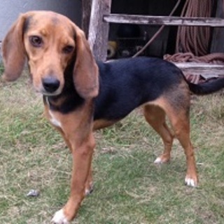 甘えた・性格の良い若い女の子