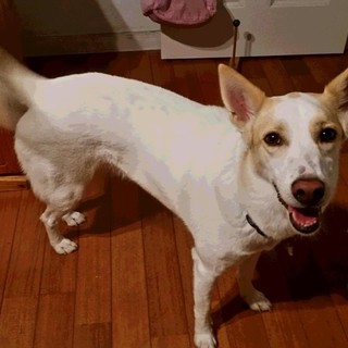 ルーシーです。容姿端麗、性格◎