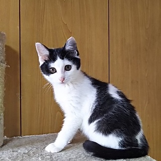 命のバトンを受け継いで下さい。