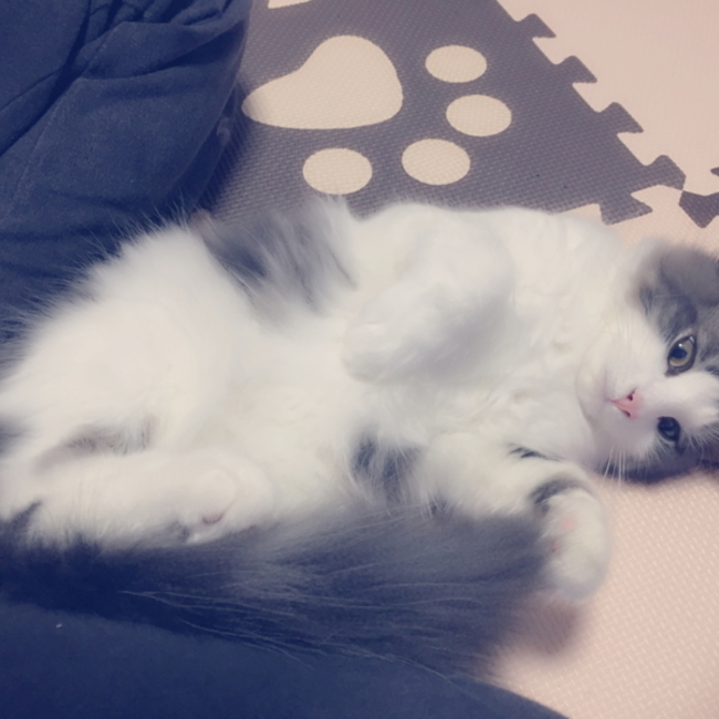 あーたろ(*´꒳`*)のカバー写真