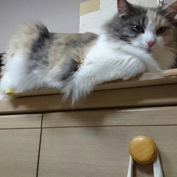 よっ、乗ってく？