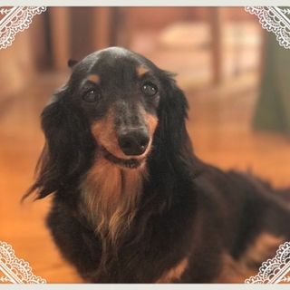 ☆はなび☆お星さまになりました☆