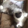 時々、ハート模様を見せてくれます