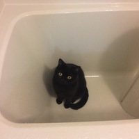 ボンベイ