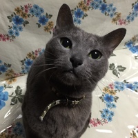 そら