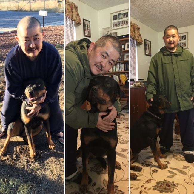 達磨のカバー写真