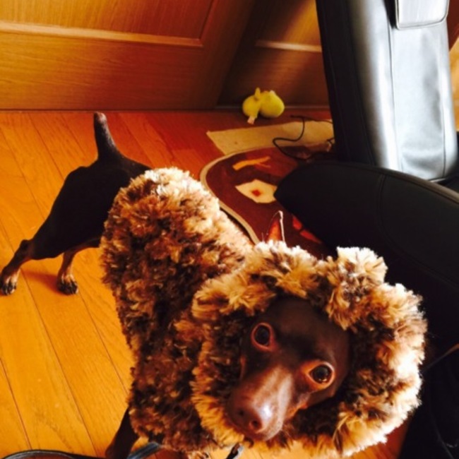 ひでにぃのカバー写真