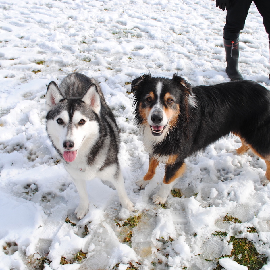 ランスのカバー写真