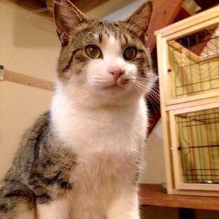 ありがとうございました