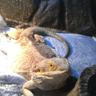 この度は多数のご連絡ありがとうございました！