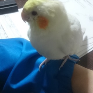 たくさんの応募ありがとうございました(#^.^#)