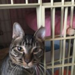 「あっかいんだから(^-^)」サムネイル3