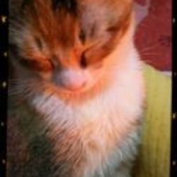 あっかいんだから(^-^)