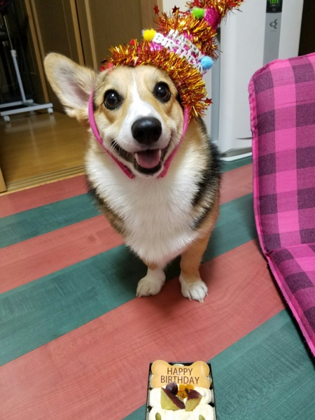凛