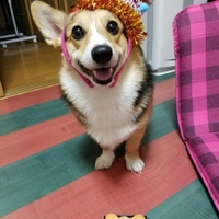 凛