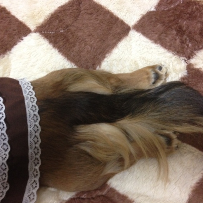 SORAのカバー写真