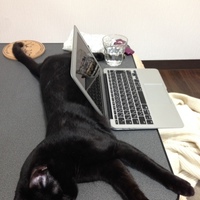 キース・悪王子@大宮