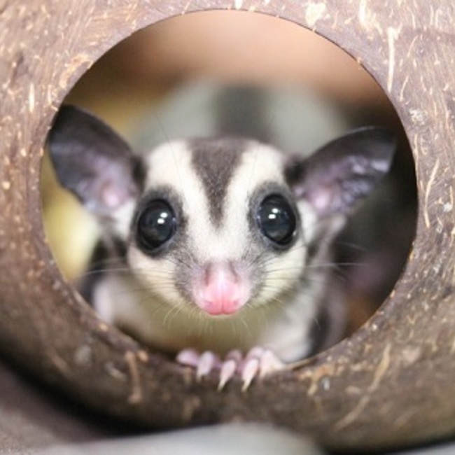 Candy.comのカバー写真