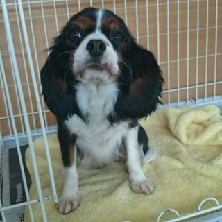 沢山の方にメールを頂いた為、一度終了させて頂きます