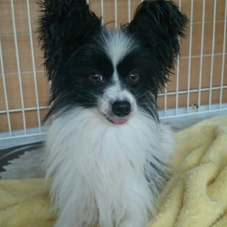 良いご縁がありそうですので一度終了させて頂きます！