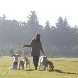 今年もたくさんの命が消えてしまうのでしょうか・・・