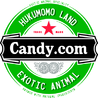 Candy.com