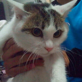 一旦停止☆ゆき☆