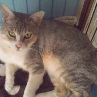 一旦停止☆サブ君！☆