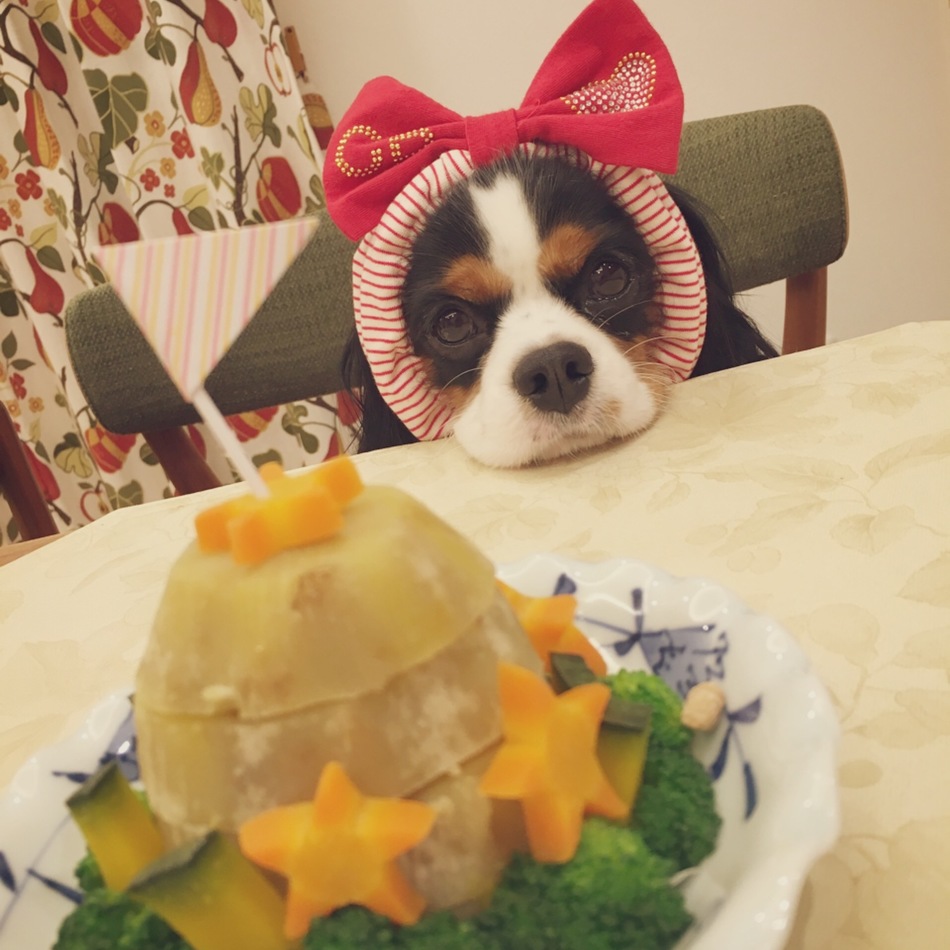 WENDYのカバー写真