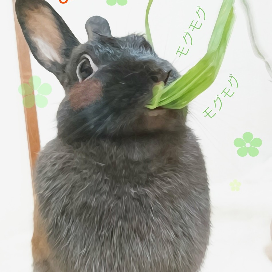 ちまきのカバー写真