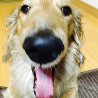 くらうん