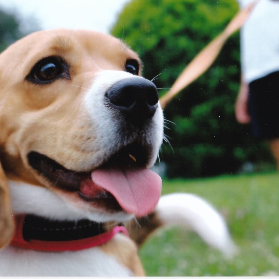 エイトのカバー写真