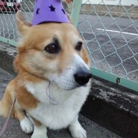坂口ジョー