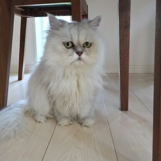 現在募集を一旦停止しております！