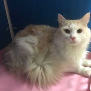 たくさんのご応募ありがとうございました！