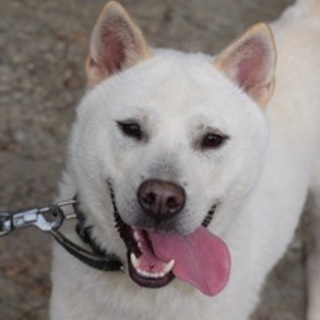 とにかく明るいリュウ☆