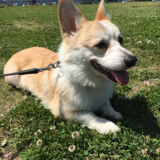 よろしくお願い致します