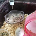 ありがとうございました。
