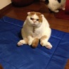 ルーガク