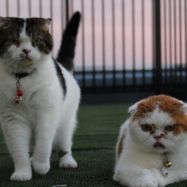 ルーガクのカバー写真