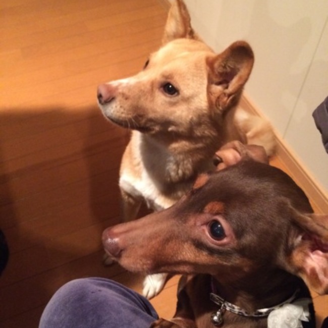 M and J のカバー写真
