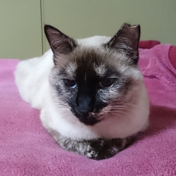 ちょっと・・・